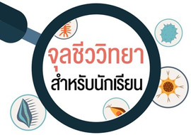จุลชีววิทยาสำหรับนักเรียน พารามิเตอร์รูปภาพ 1